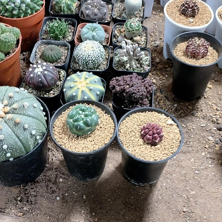 果*儿33333333333333333