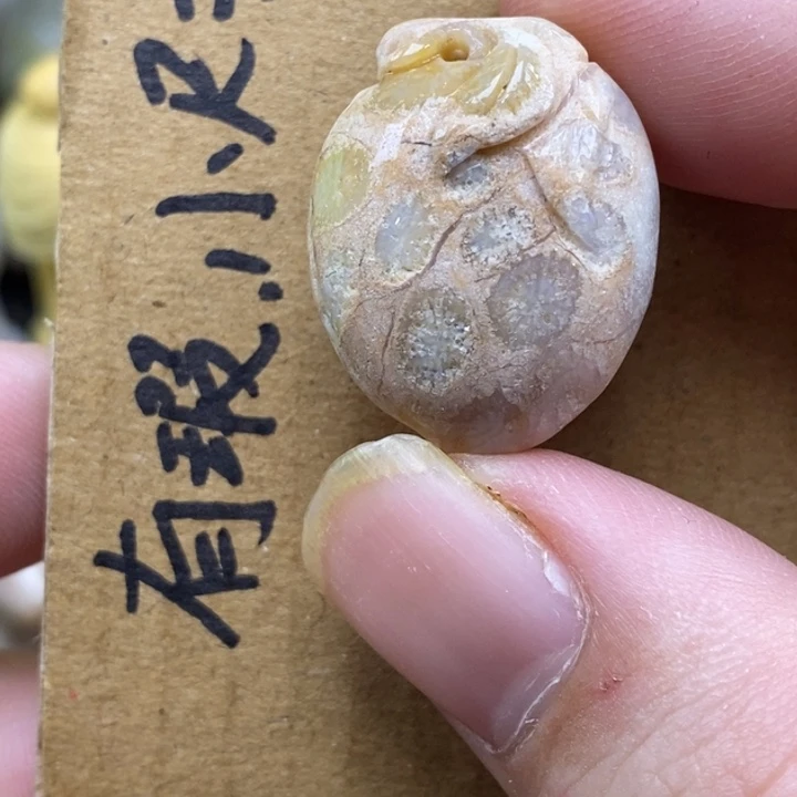 硅化珊瑚（珊瑚玉）未镶嵌颈饰