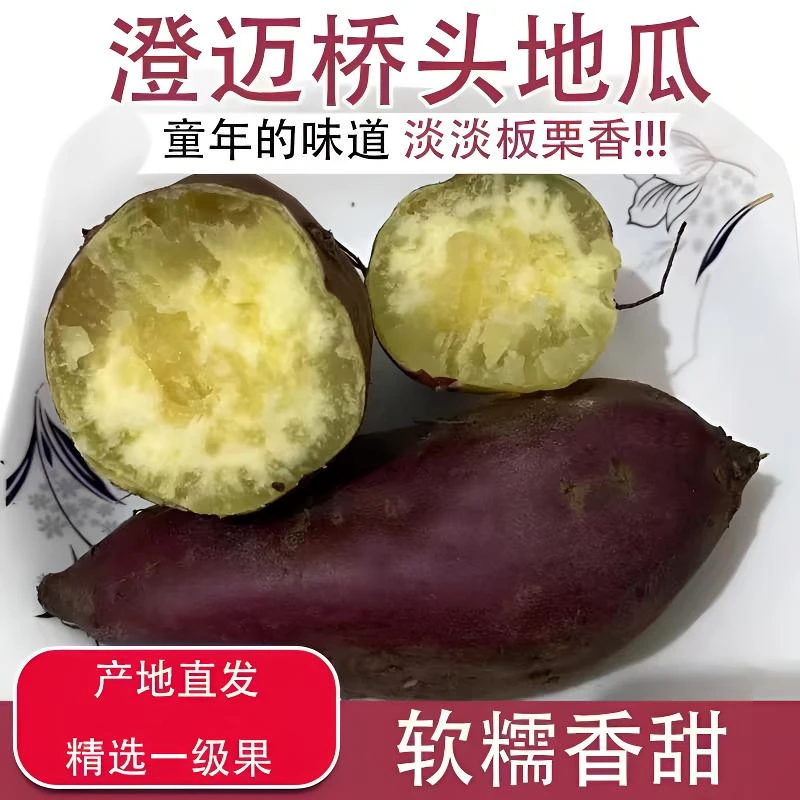 【新鲜板栗地瓜】澄迈桥头沙地板栗红薯农产品香甜粉糯小果5斤