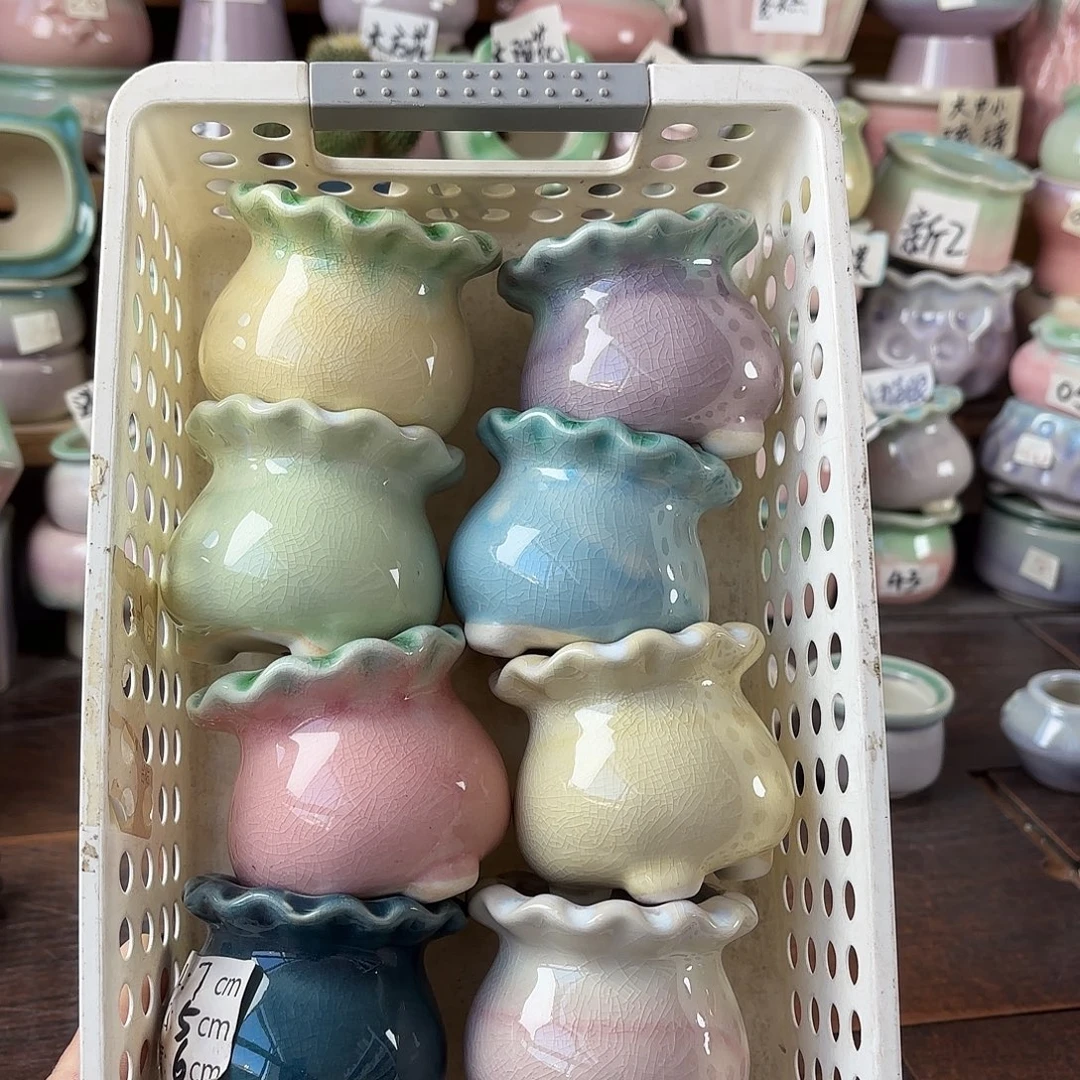 量货/5口高6深浅搭配发6