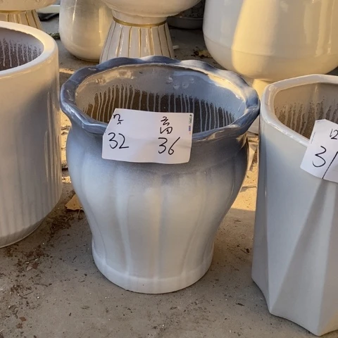 低腰花口渐变南瓜大 口32/36