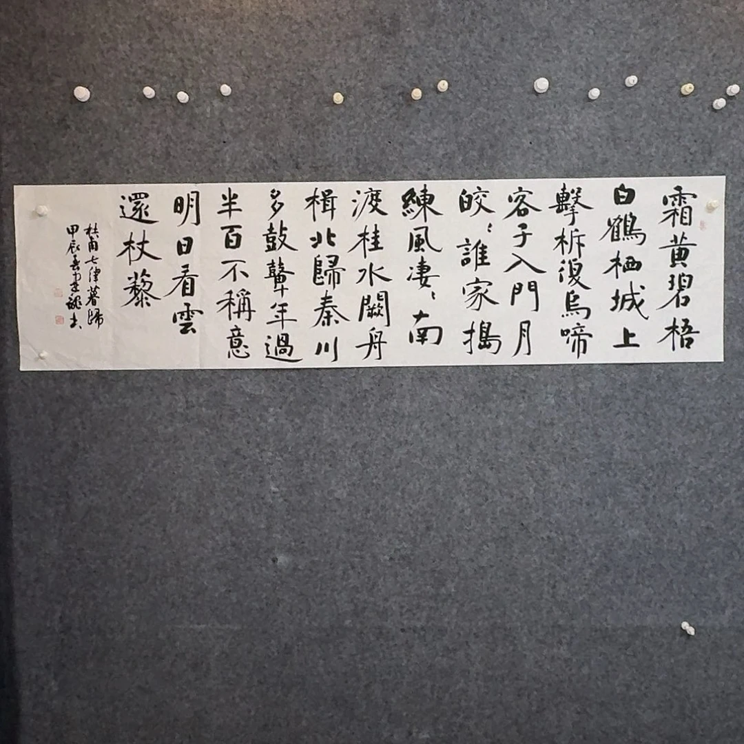 书法中书杨建龙180×50