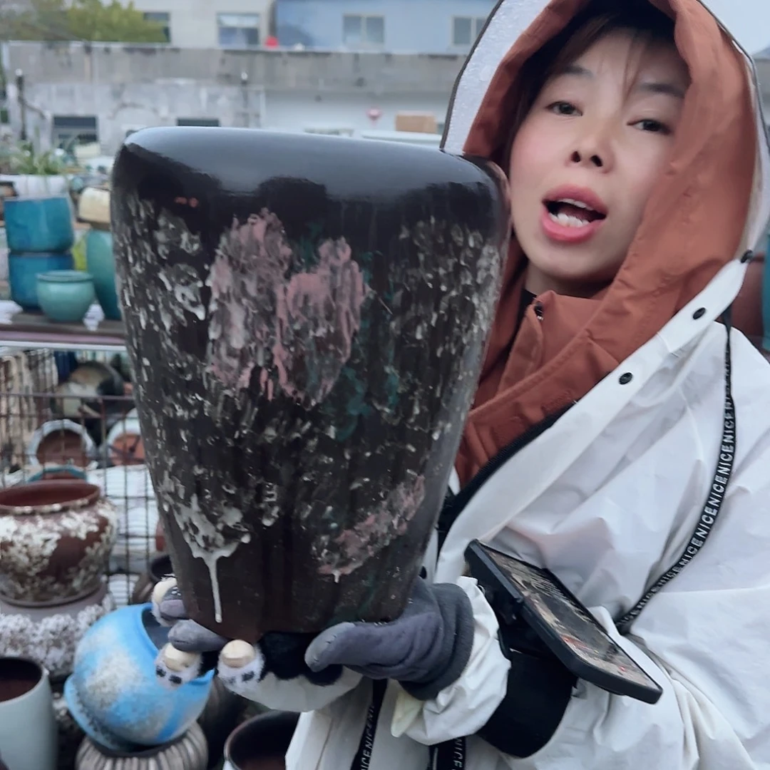王嫂花盆1213-302颜色不选