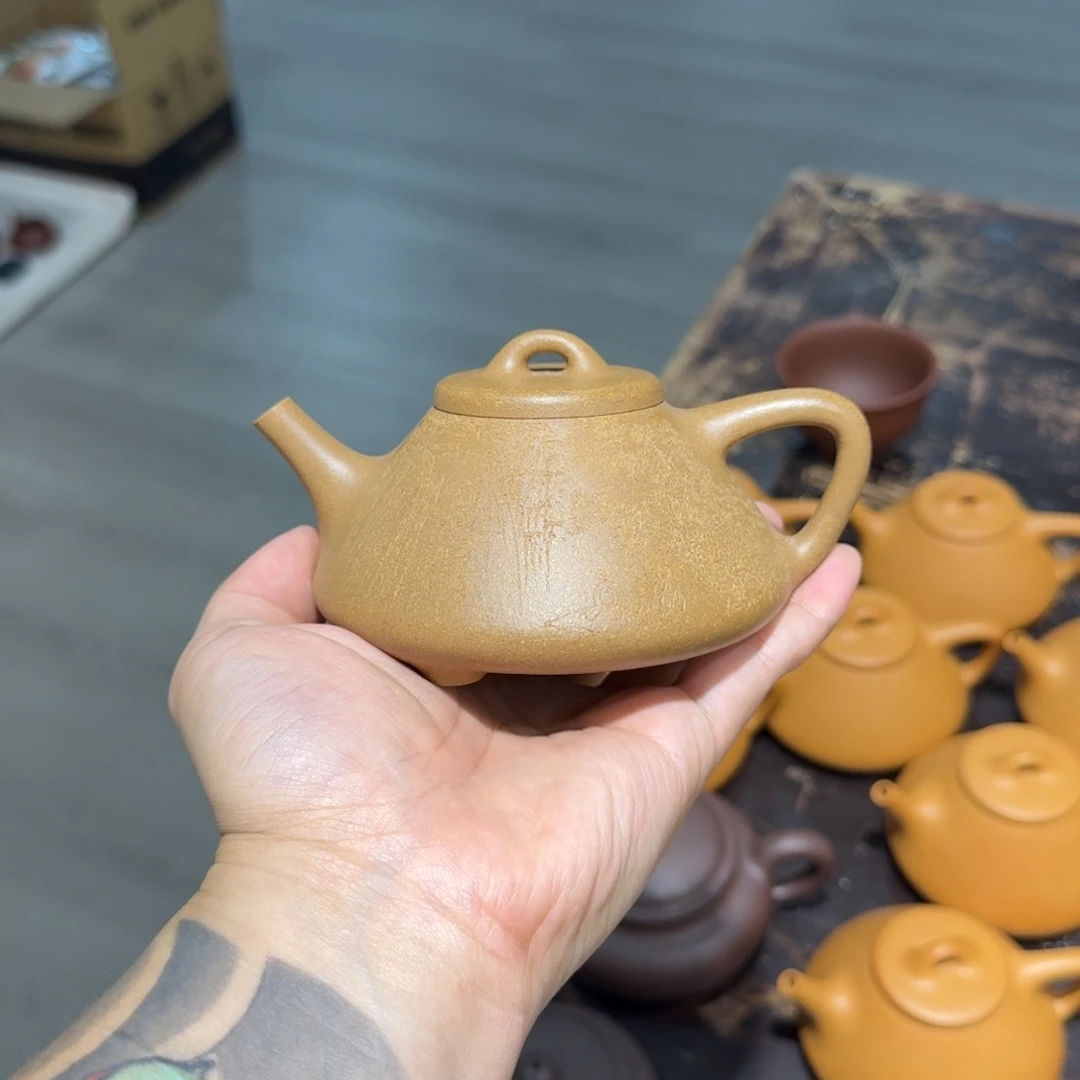 茶壶紫砂-****.沉香段观沧海子冶全手