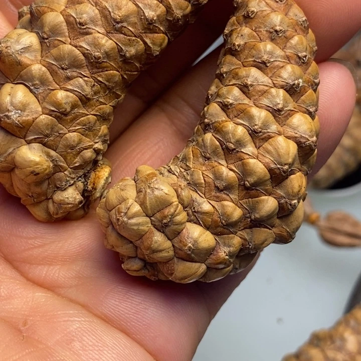 醒***狮文玩核桃吊坠拿121