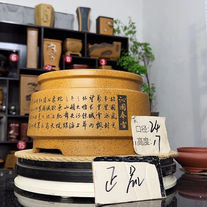 紫砂花盆盆友记紫砂