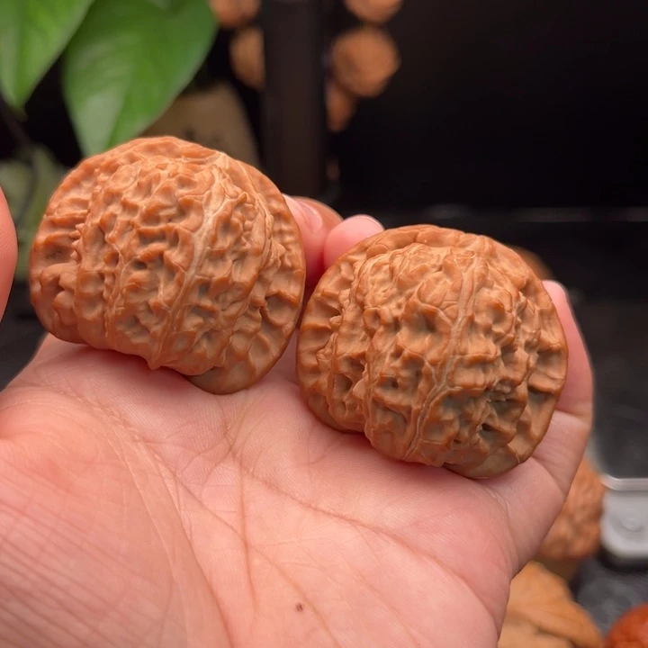 手串桃核白狮子全品