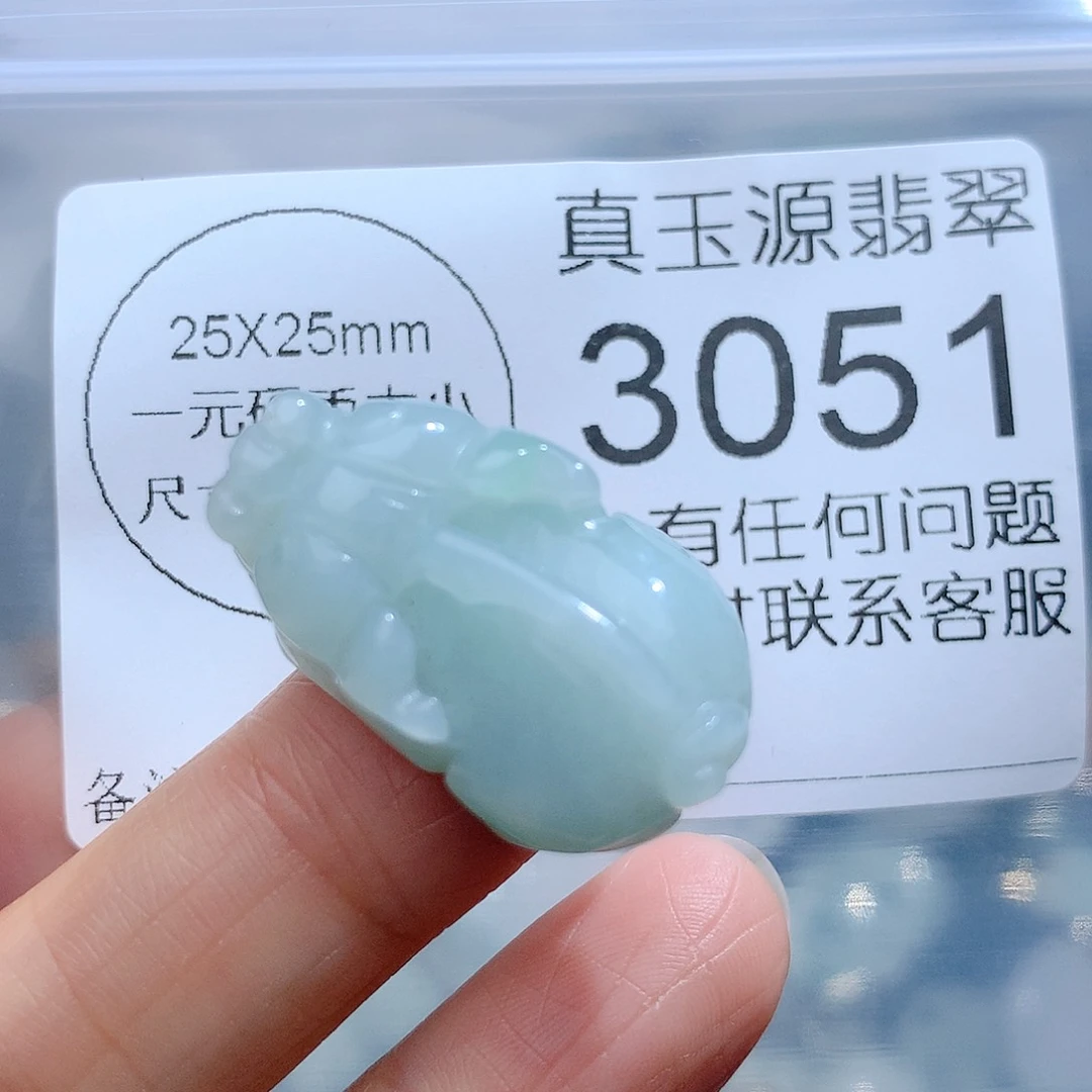 翡翠颈饰未镶嵌3051。