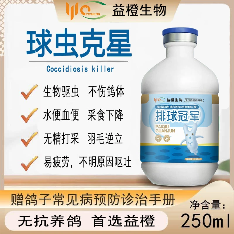 益橙排球冠军水剂赛鸽种鸽肉鸽观赏鸽禽类用品养鸽常备