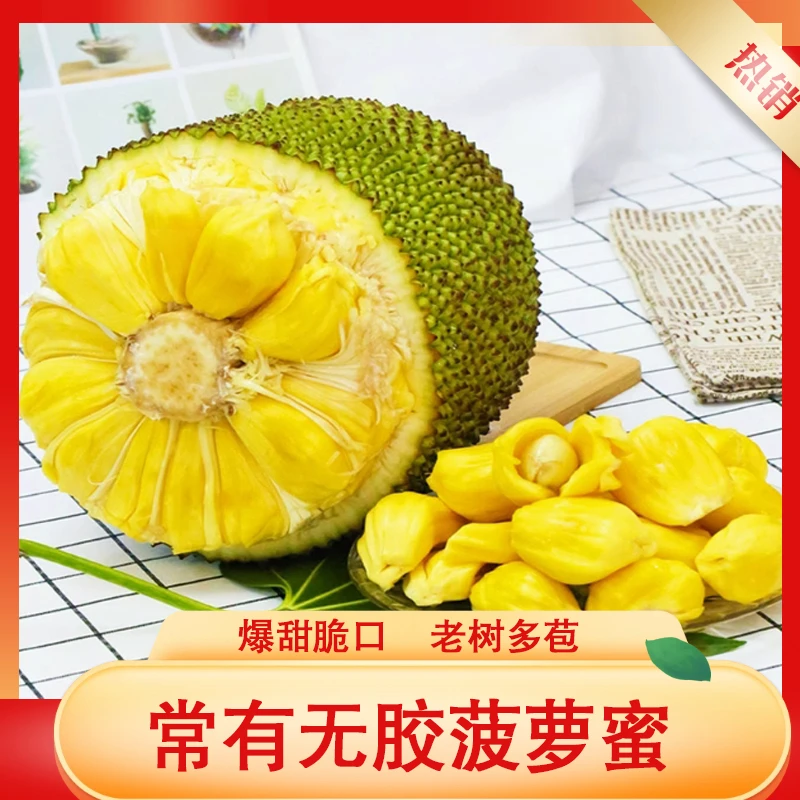 广东茂名特产无胶菠萝蜜珍珠菠萝蜜干苞脆甜果园直发应季热带水果