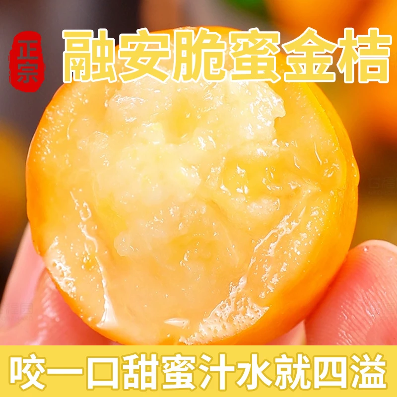 【精品特大果】正宗融安脆蜜金桔纯甜无酸新鲜应季水果现摘现发顺丰