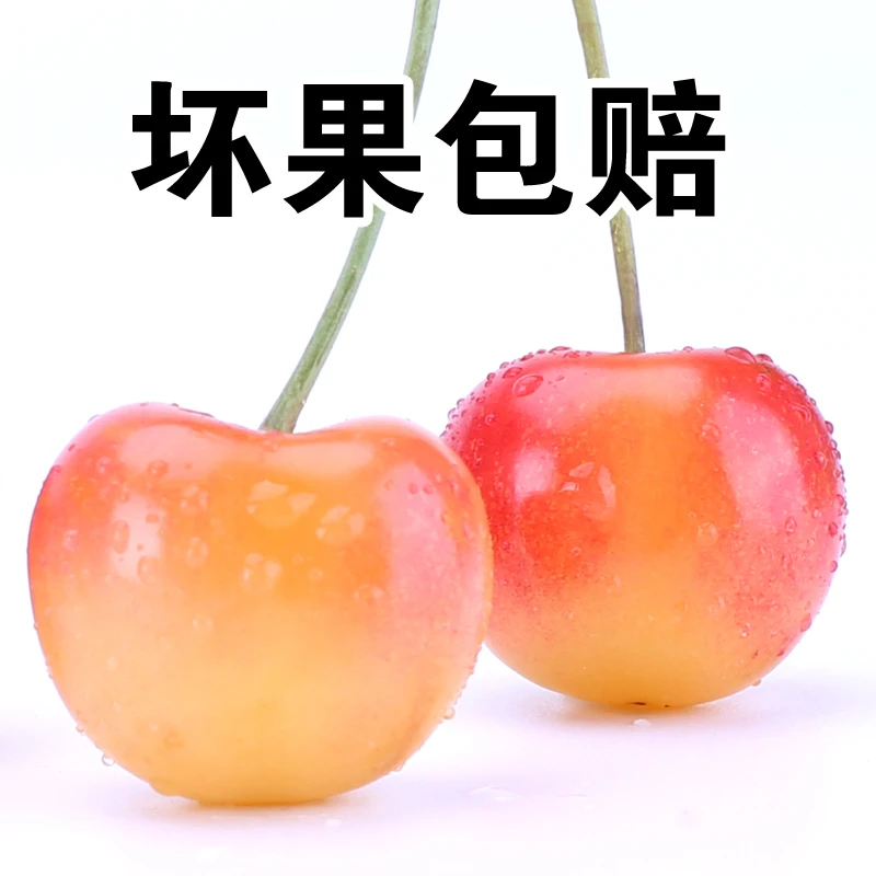 黄金樱桃丨黄蜜黄水晶烟台头茬树熟高端大气适合送礼2/3斤顺丰