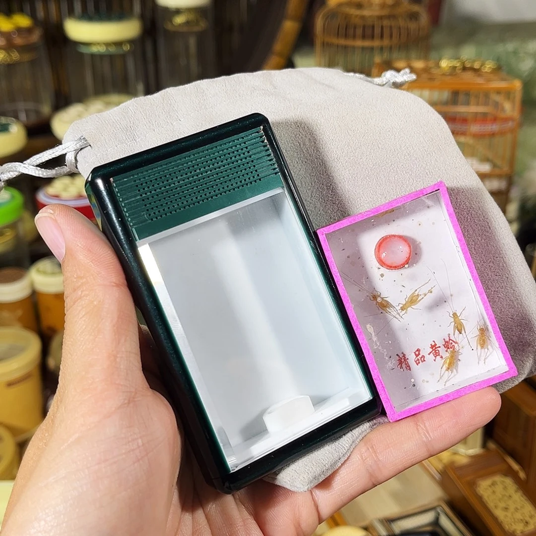 蟋蟀有机黄蛉盒+小黄蛉+布套
