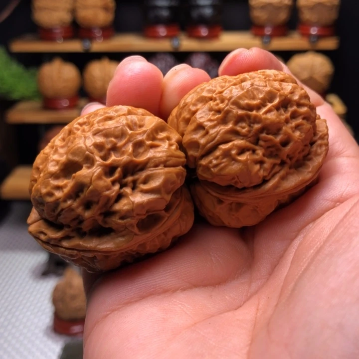 【闪购商品】马蹄金蝉47