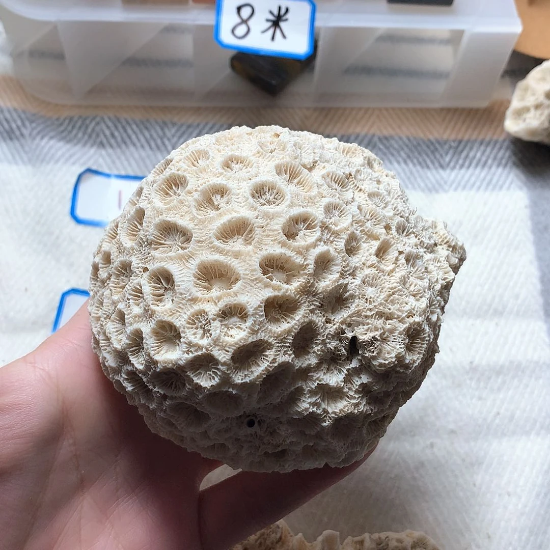 石英质玉颈饰未镶嵌牧*阳