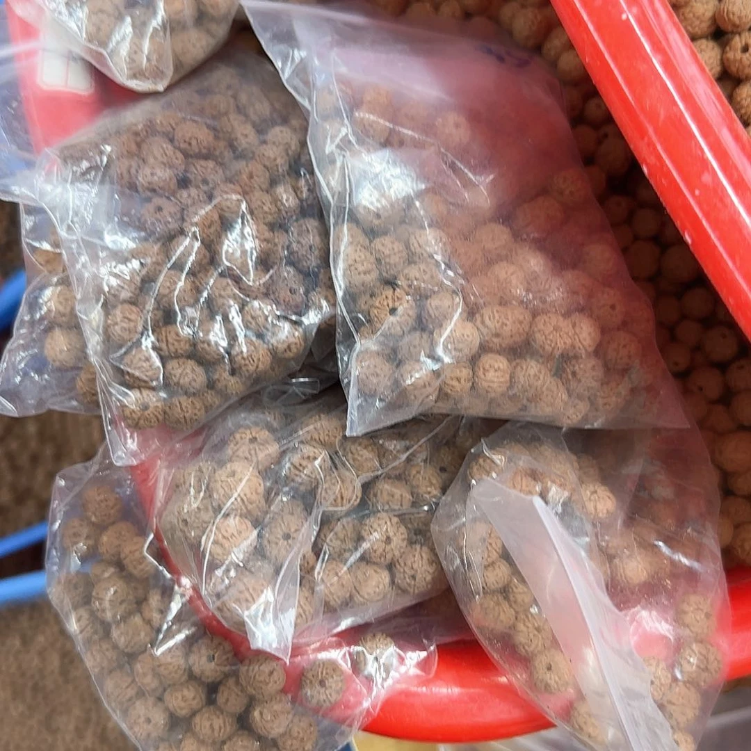 柏香籽/百香籽手串6