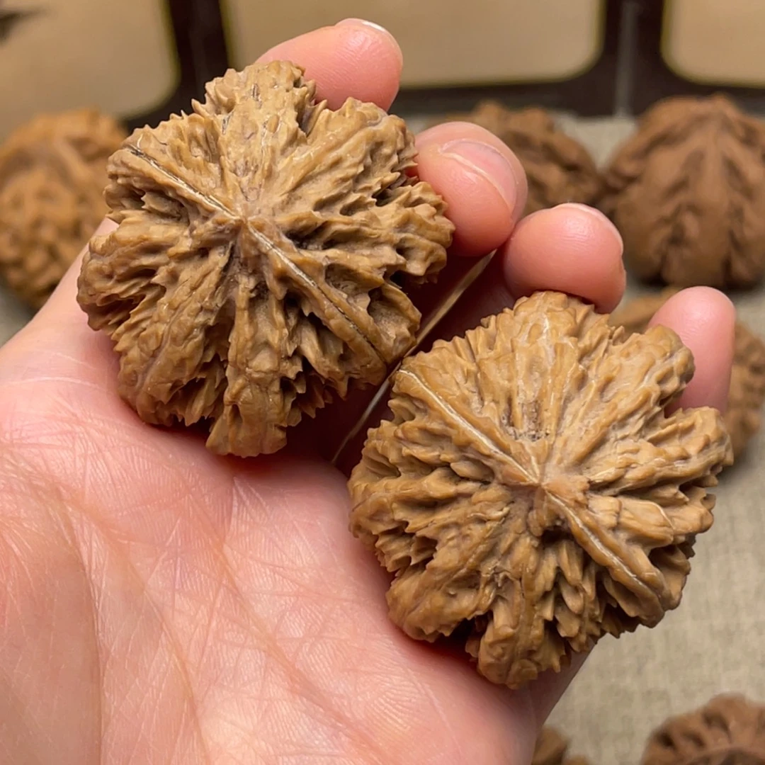 文玩核桃把件秦岭核桃10号