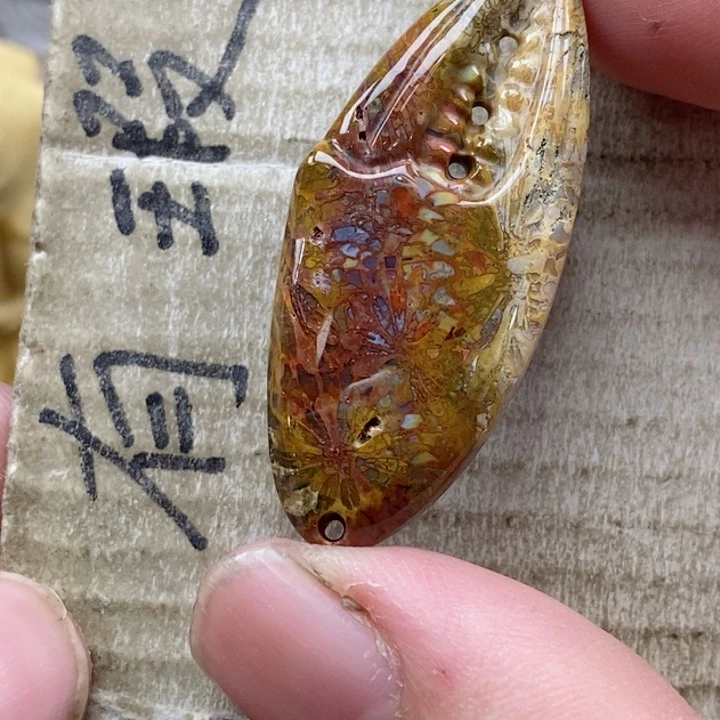 颈饰未镶嵌硅化珊瑚（珊瑚玉）