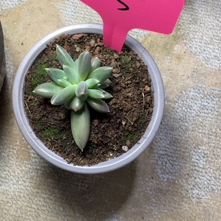 203ttn新号福利价