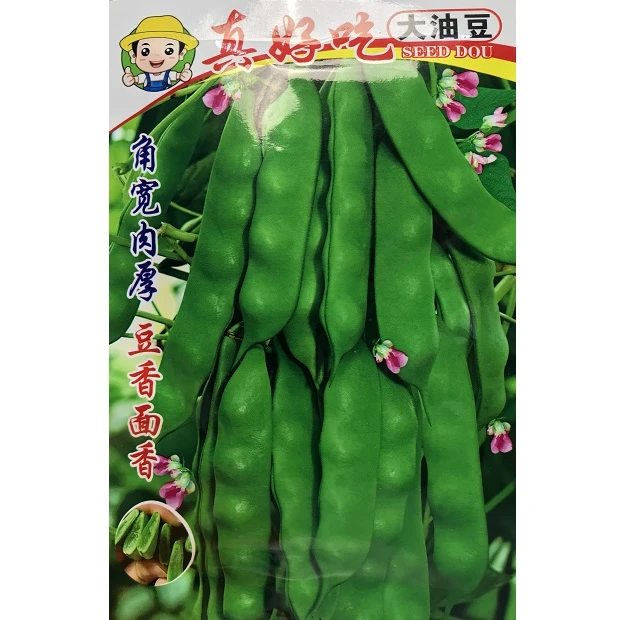真好吃大油豆种子角宽肉厚无筋无柴角绿色有光泽好看好吃好卖