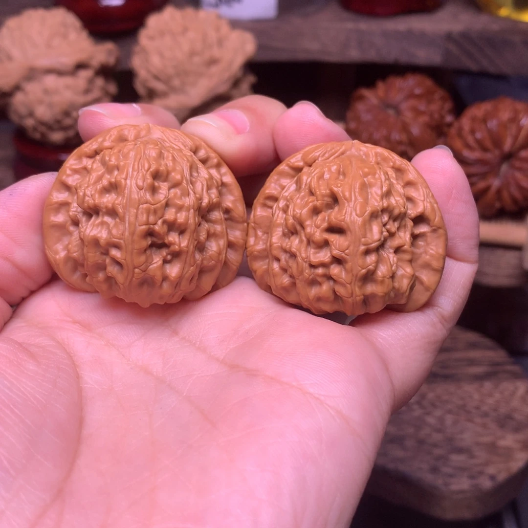 把件文玩核桃37白狮子全品