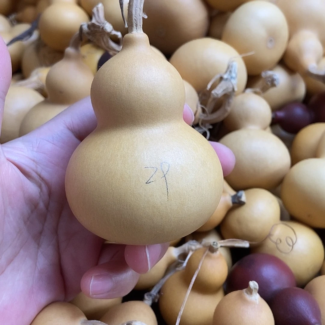 文玩葫芦 完美主义者 慎拍29