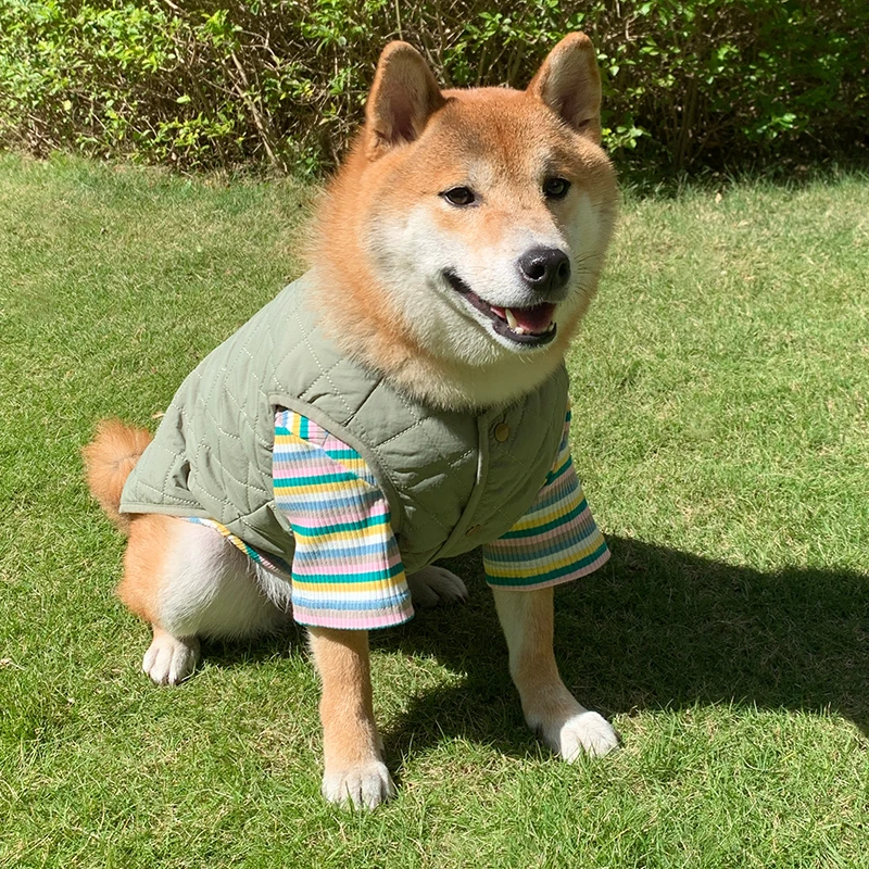 NINKIN/能亲狗狗衣服棉质有弹性春夏猫咪背心幼猫保暖泰迪雪纳瑞