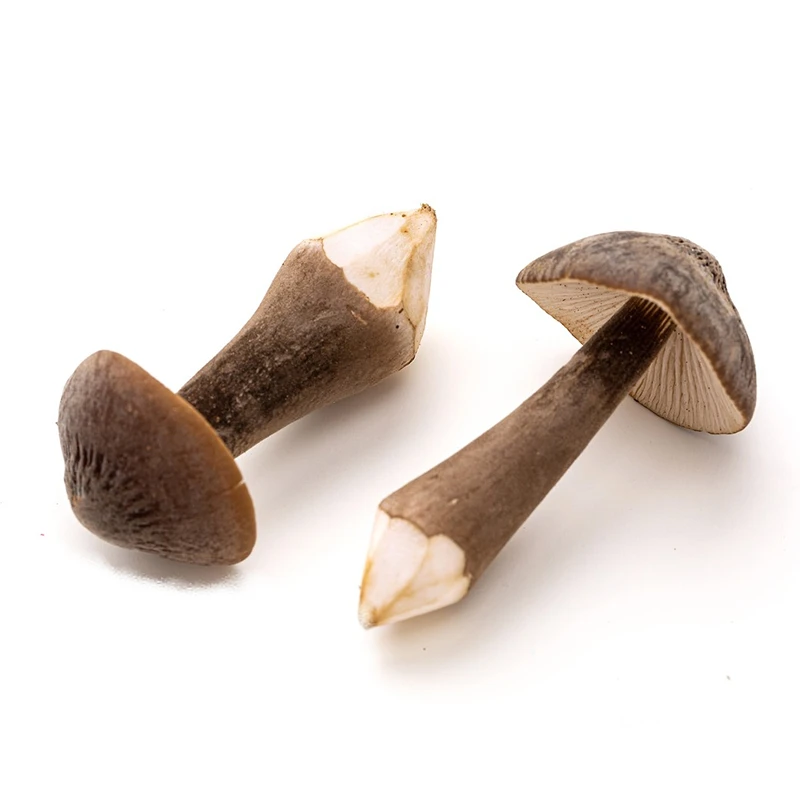 黑皮鸡枞菌180g±20g黑皮鸡枞菌