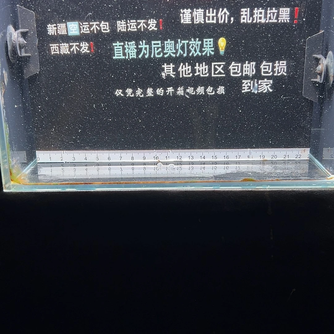 雷龙鱼七星雷龙鱼
