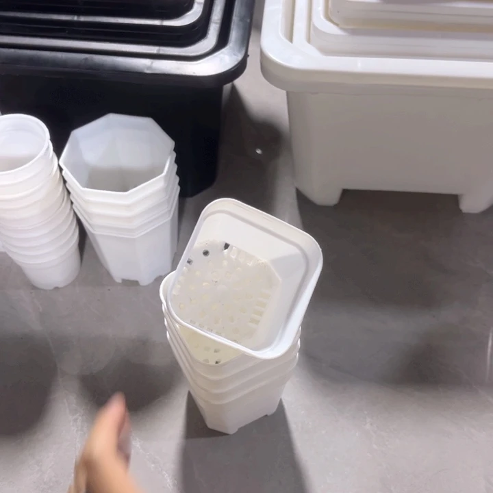 白方口6高6一组30个