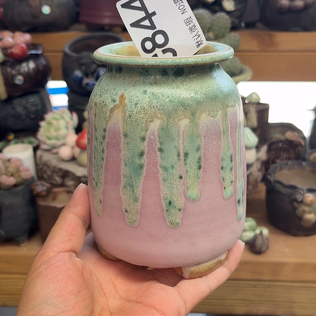 哈哈这不是很有意思吧844