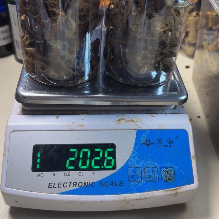 沉香碎屑沉香用****8绿奇楠流油王切珠料202g