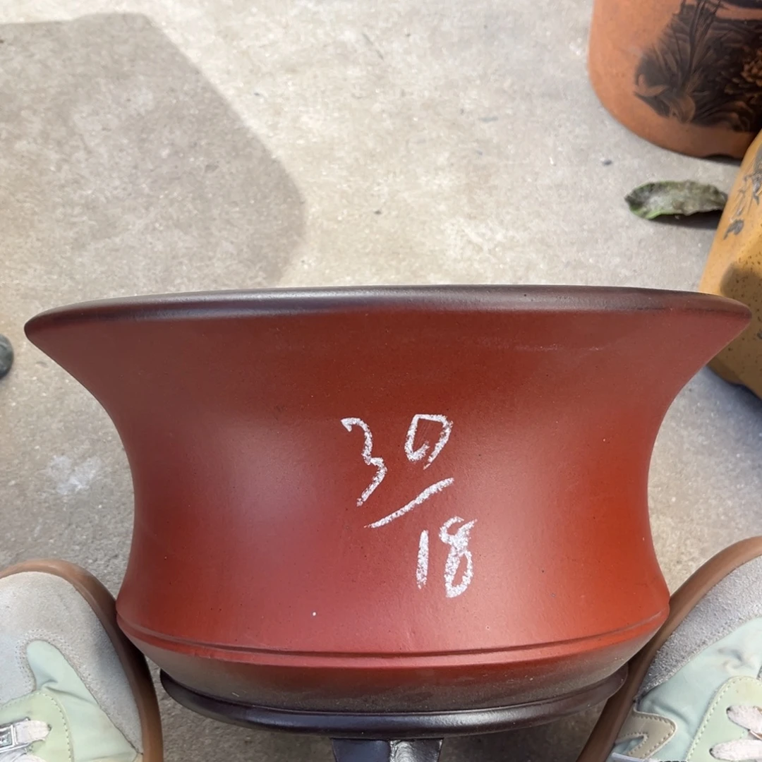 花盆紫砂盆景艺术