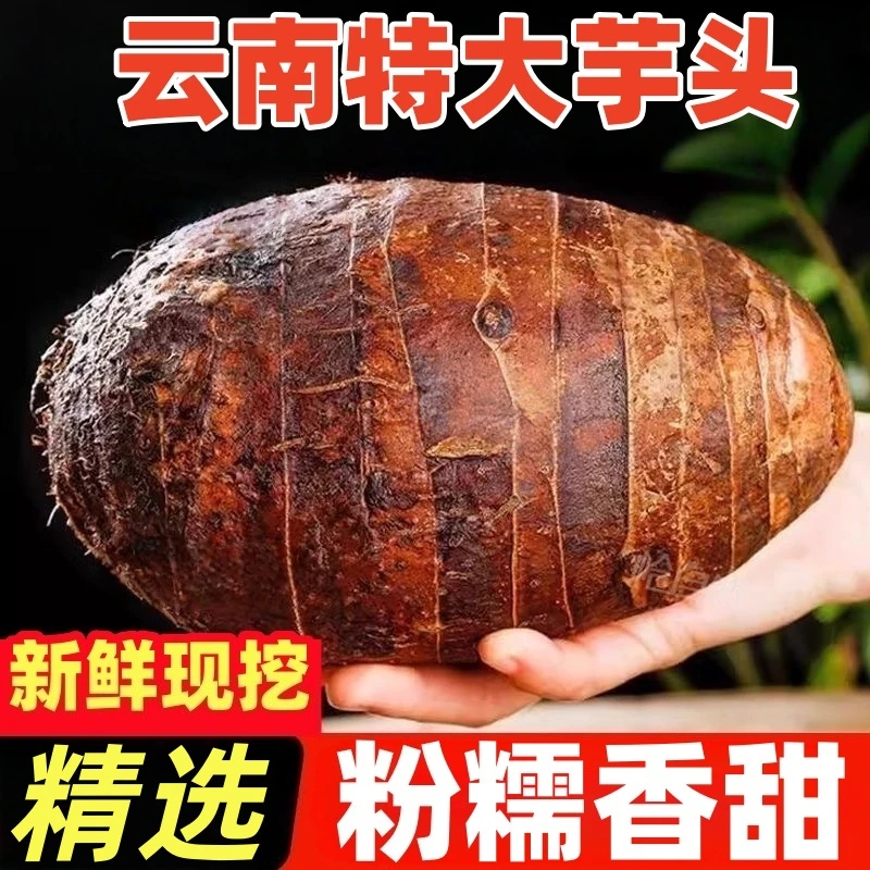 【9斤特价】正宗云南芋头新鲜香芋软糯芋头当季新鲜蔬菜非荔浦芋头
