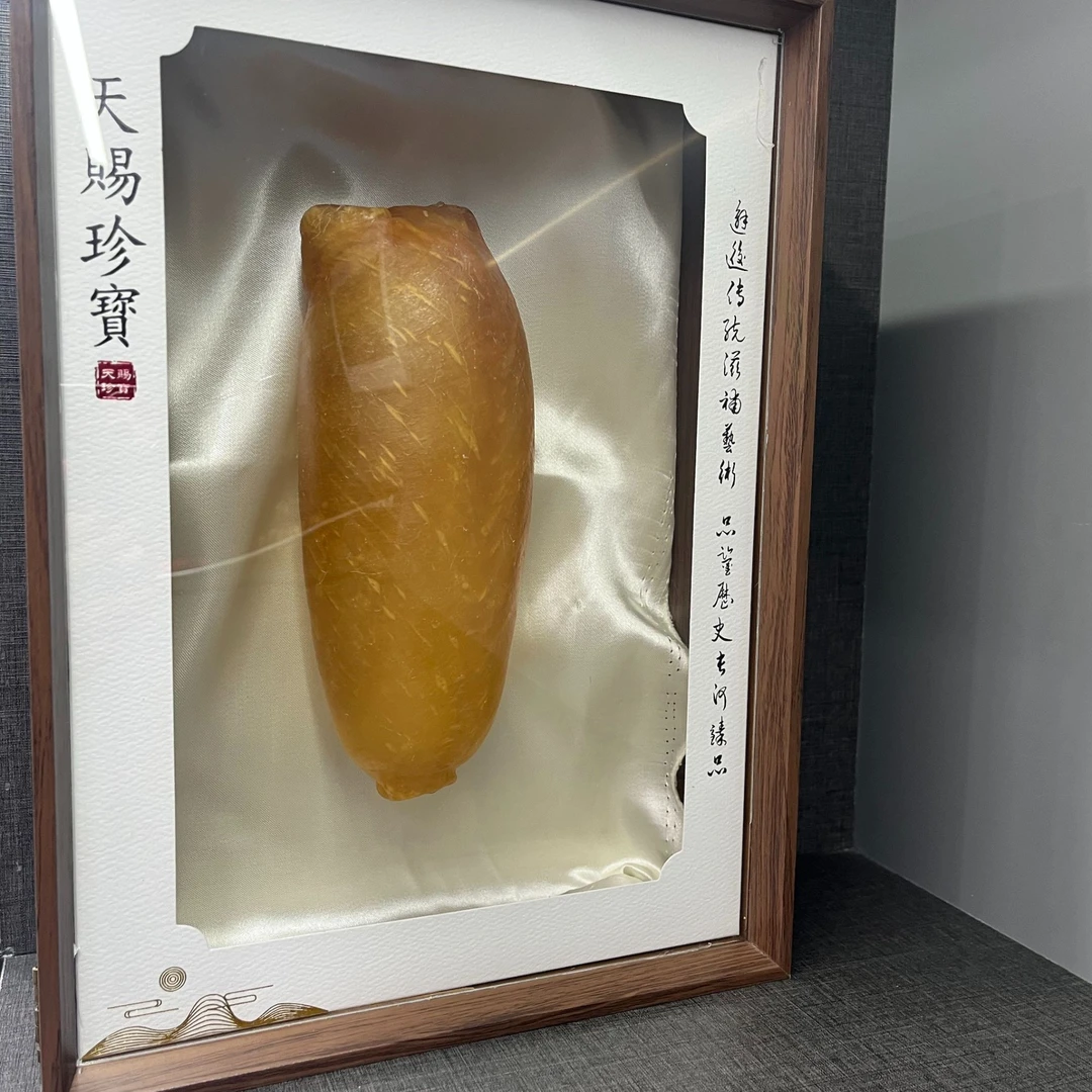 皇福临4.5头甲肚桶煲汤爽滑滋补营养