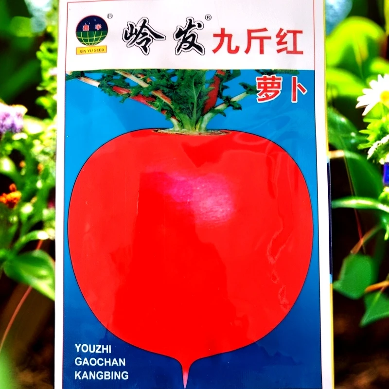 九斤红大萝卜籽10克左右