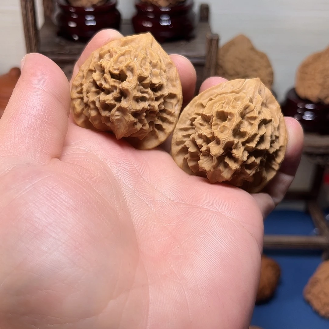 小***v龙纹43尺龙纹龙纹