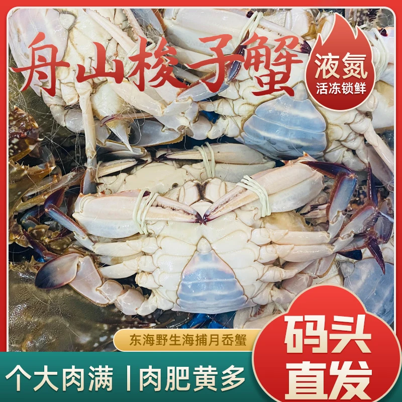 【冻蟹】3斤母蟹3-5两每只舟山流网梭子蟹鲜活冷冻肥美海鲜拍三发四