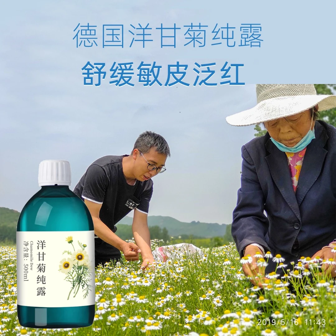 德国洋甘菊纯露 芳疗师定制 舒缓敏肌红丝干痒补水喷雾湿敷爽肤水