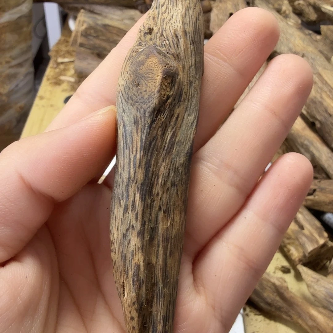 木绿奇楠虫漏12克