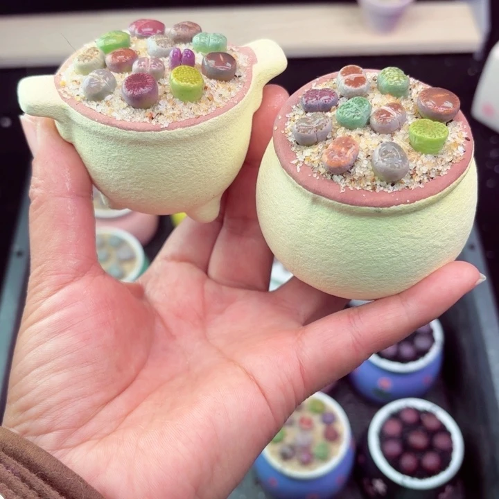 840凑满18包邮零下地区记得拍保温箱