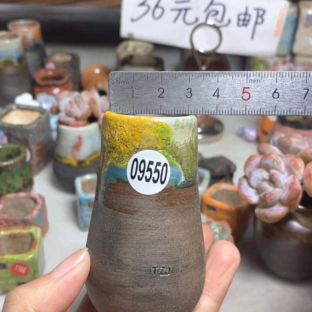 拍5送一个小礼物