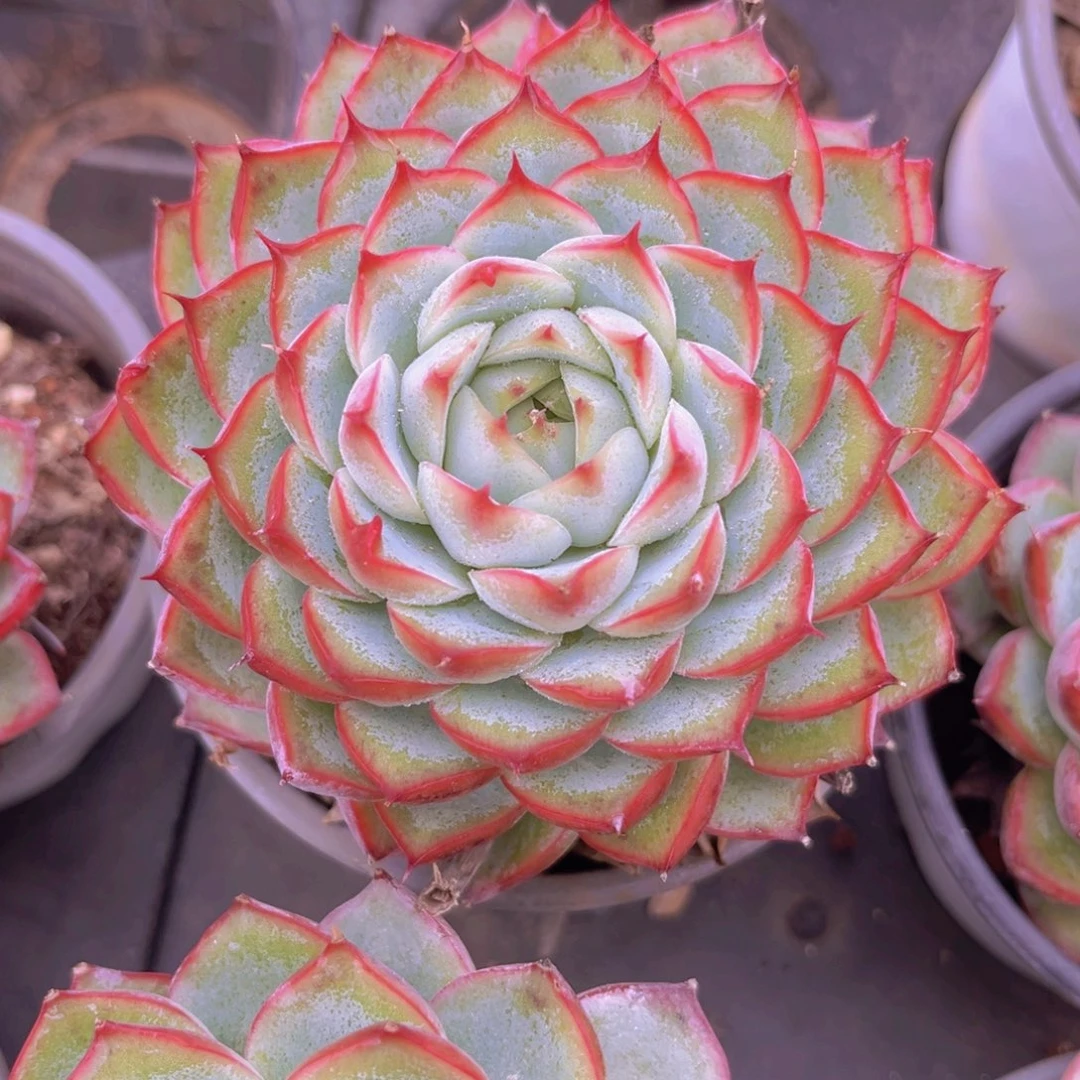 10公分899999999998