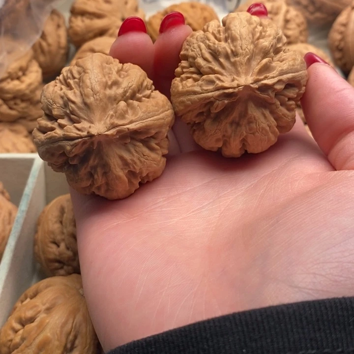 圆***才把件文玩核桃霸王龙