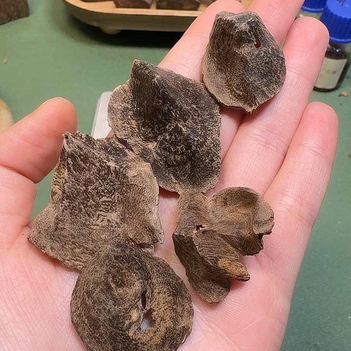 彭***沉香碎屑沉香海南尖峰岭包头沉水老香4.4克