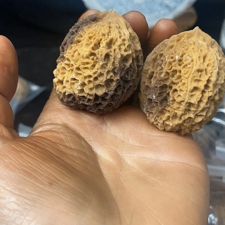 把件文玩核桃云南铁核桃基地94