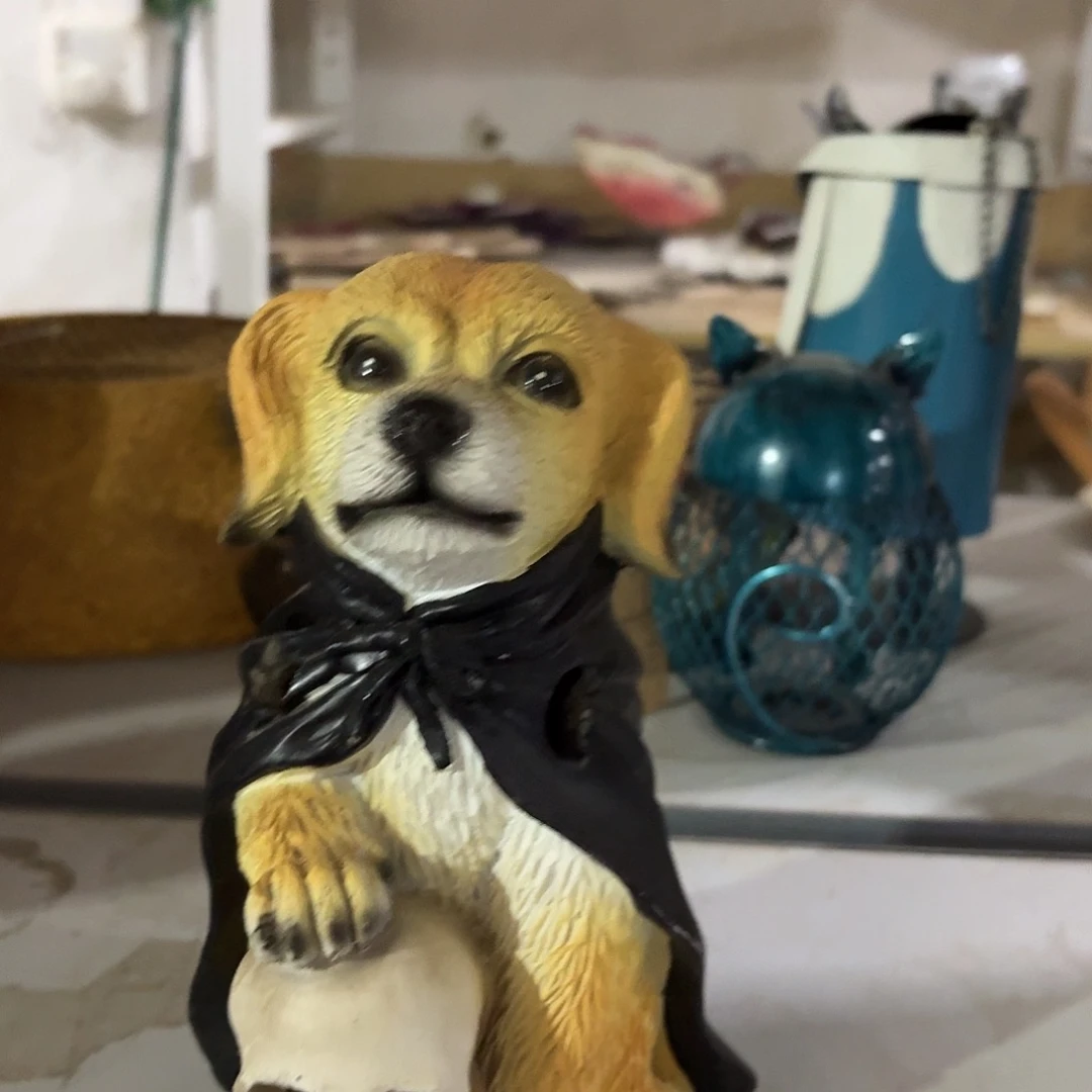 核桃木/黑胡桃（胡桃木）