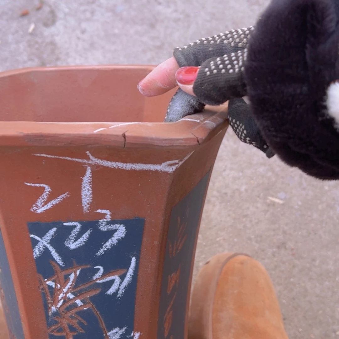 紫砂57………………………………