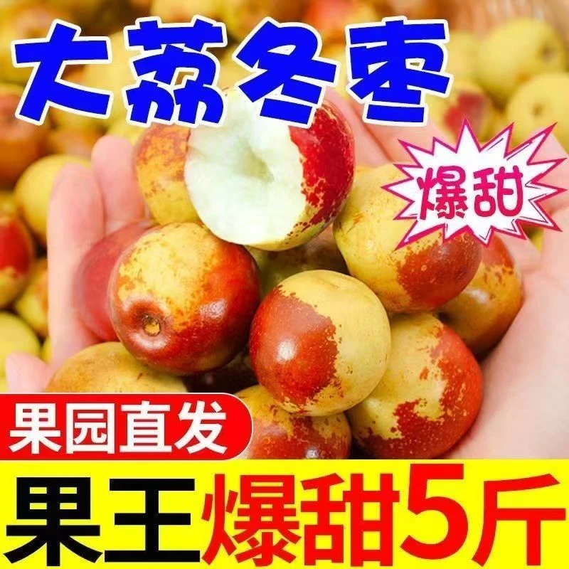 【品质优选】正宗大荔冬枣新鲜现摘脆甜多汁产地采摘 应季水果
