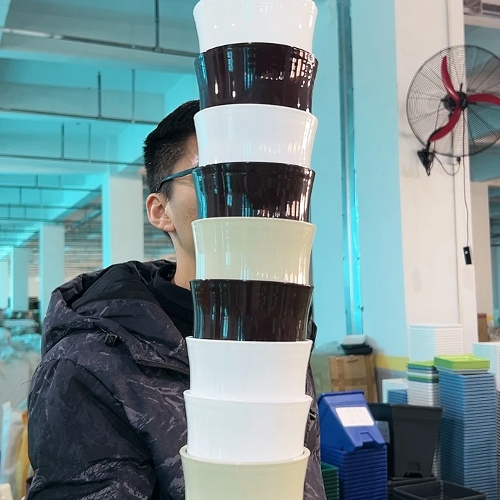 特价竹节口10高10.5白色带托10只